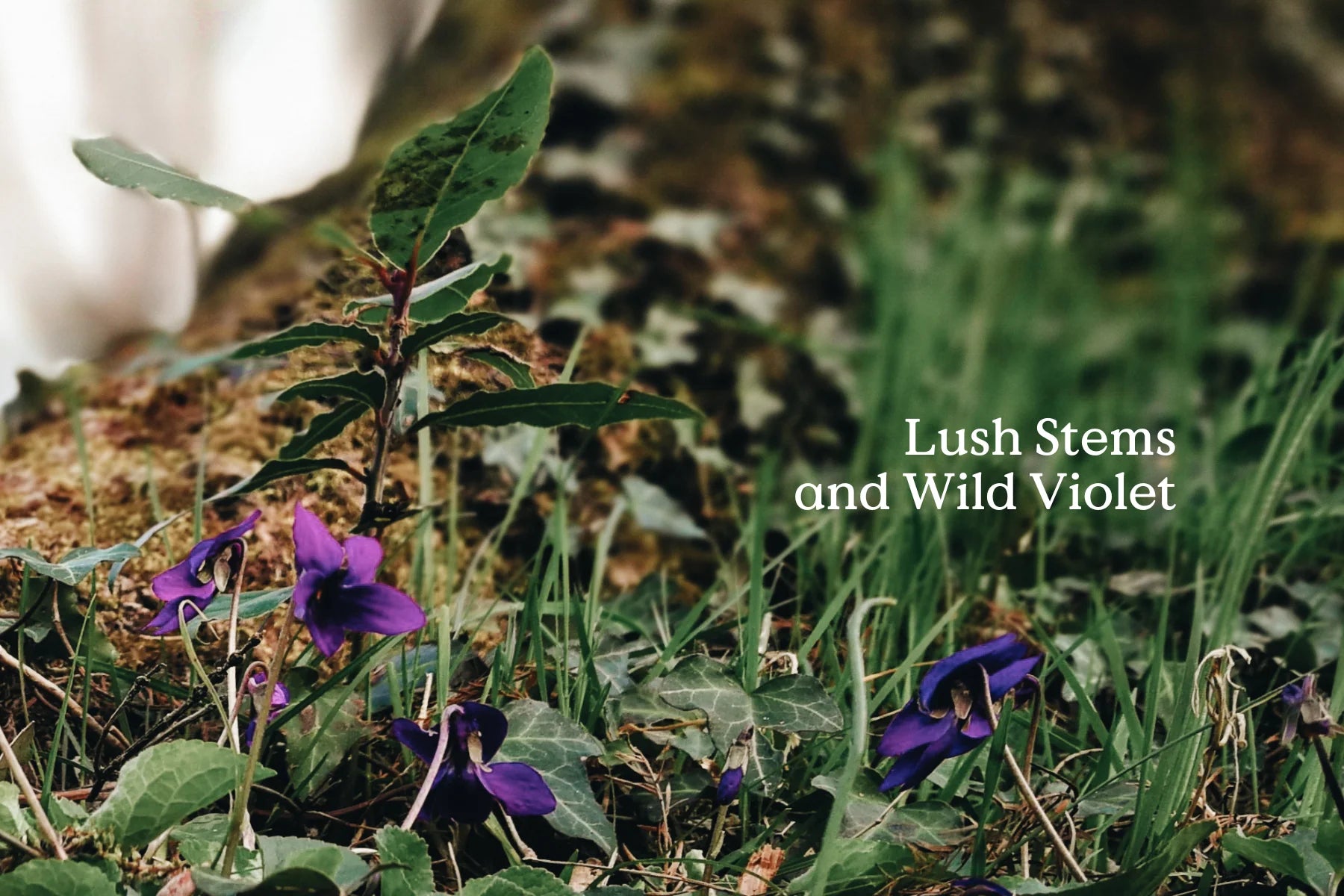 Kin - Folk - Tin of Incense Cones