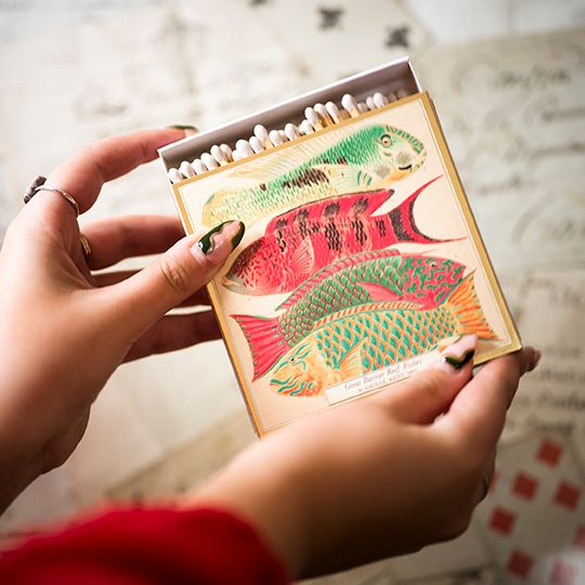 Archivist - Match Box - Fishes