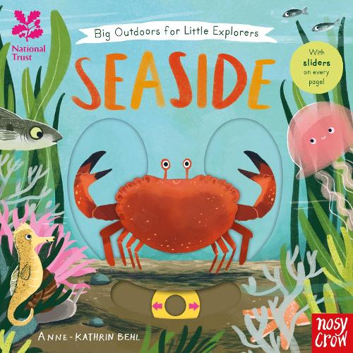 Big Outdoors for Little Explorers: Seaside - Big Outdoors for Little Explorers (Board book)
