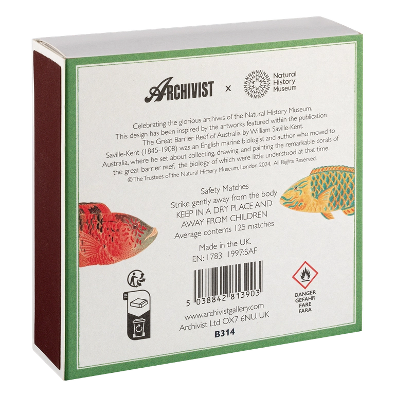 Archivist - Match Box - Fishes