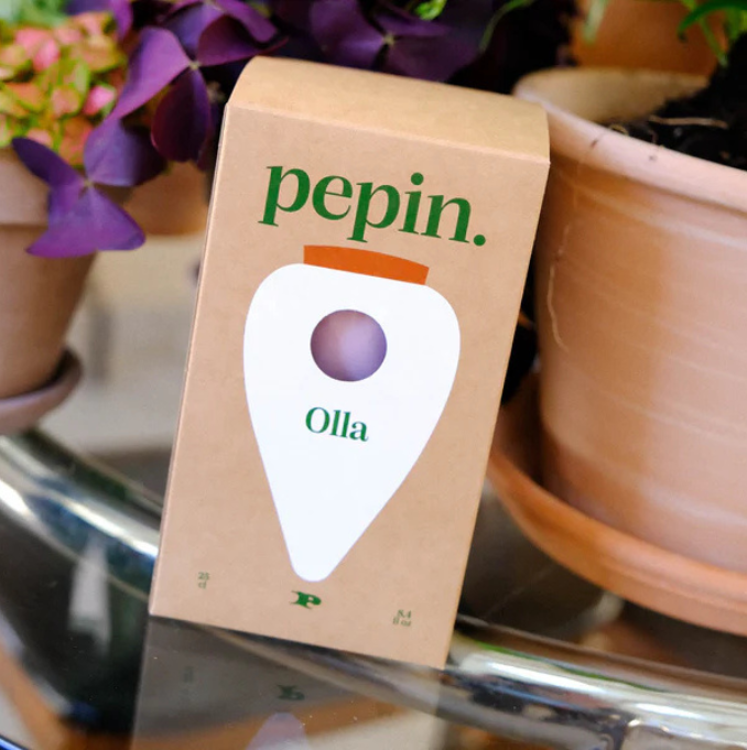 Pepin - Plant Watering Olla - Green & Lilac Stripe