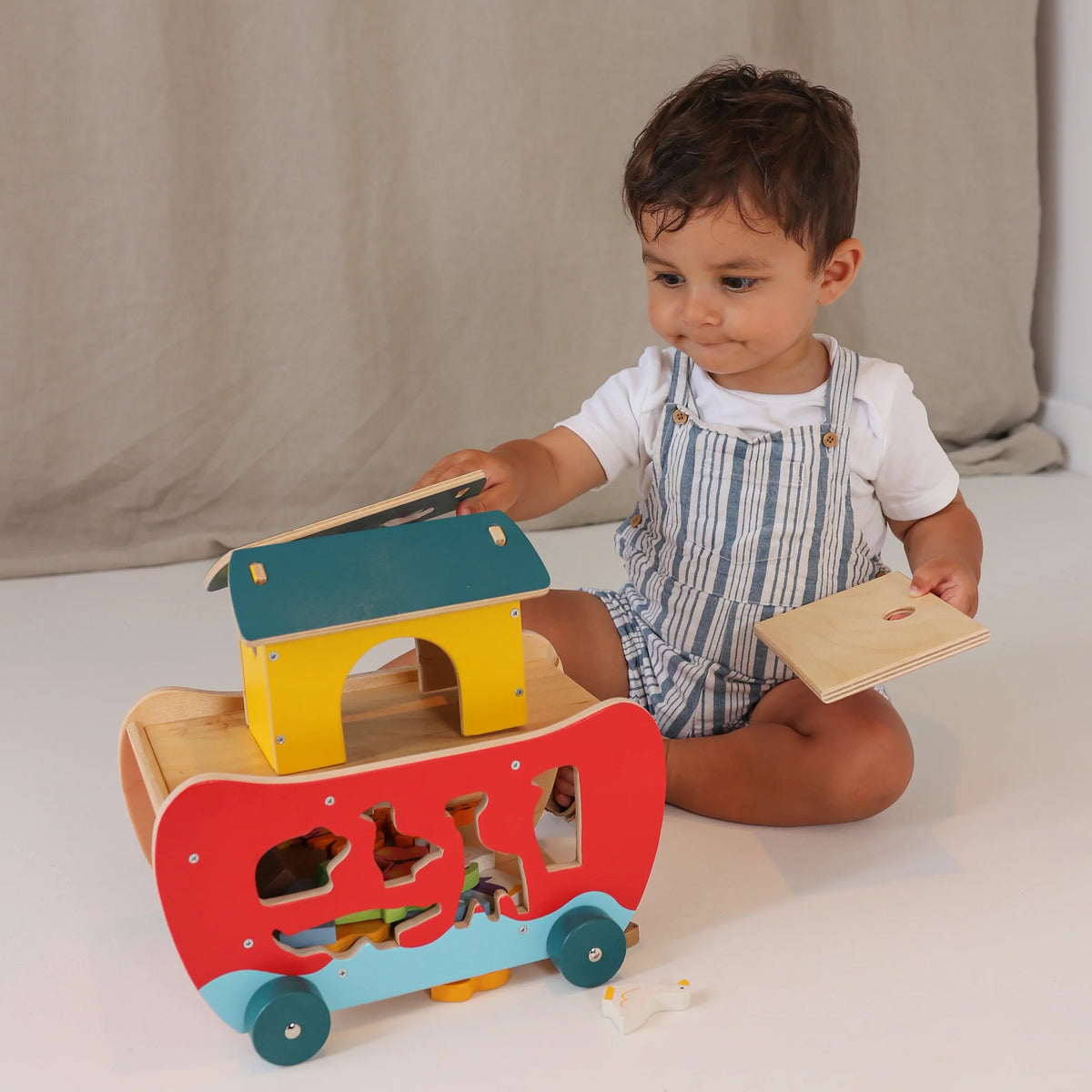 Tender Leaf - Noahs Ark Shape Sorter