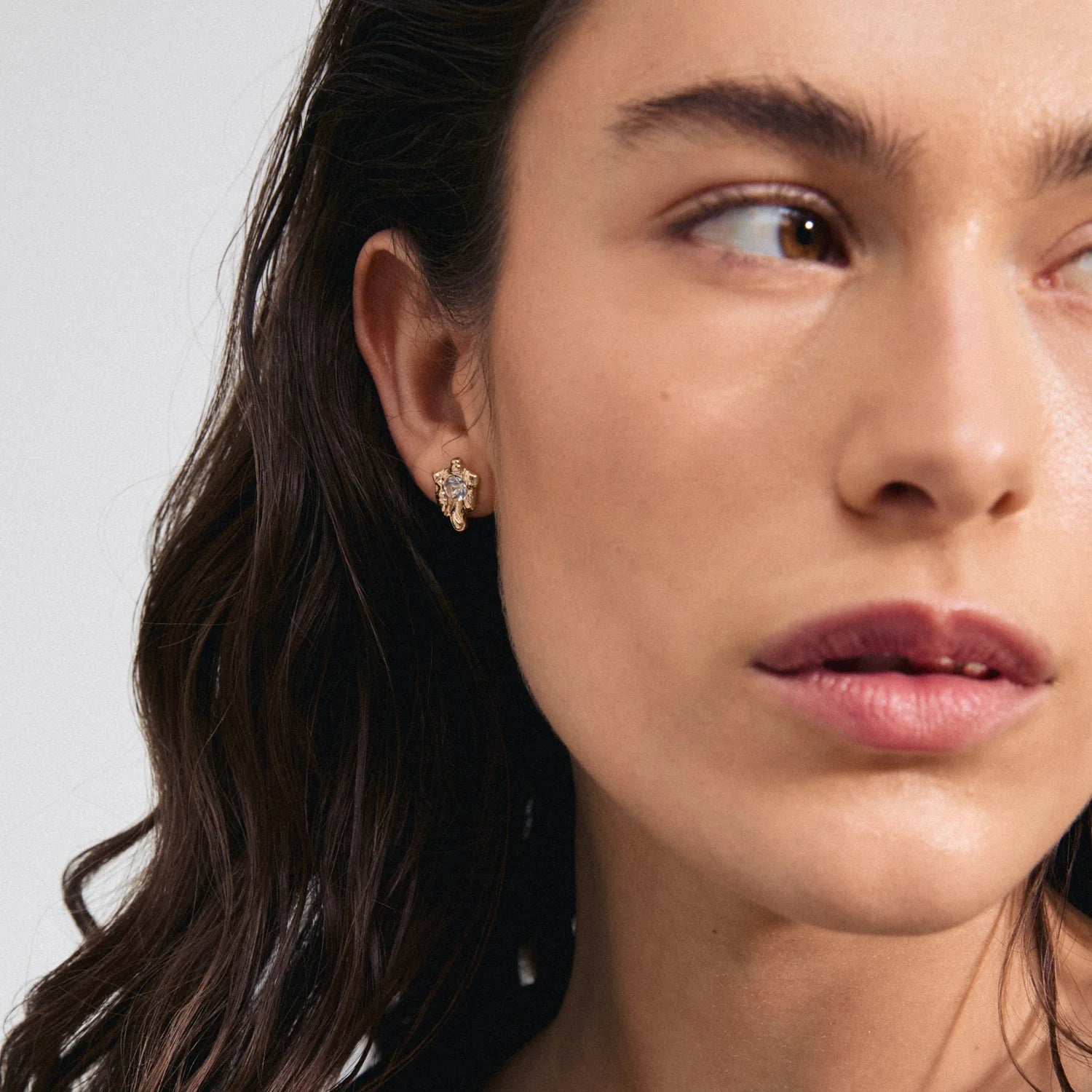 Pilgrim - Aias crystal earrings