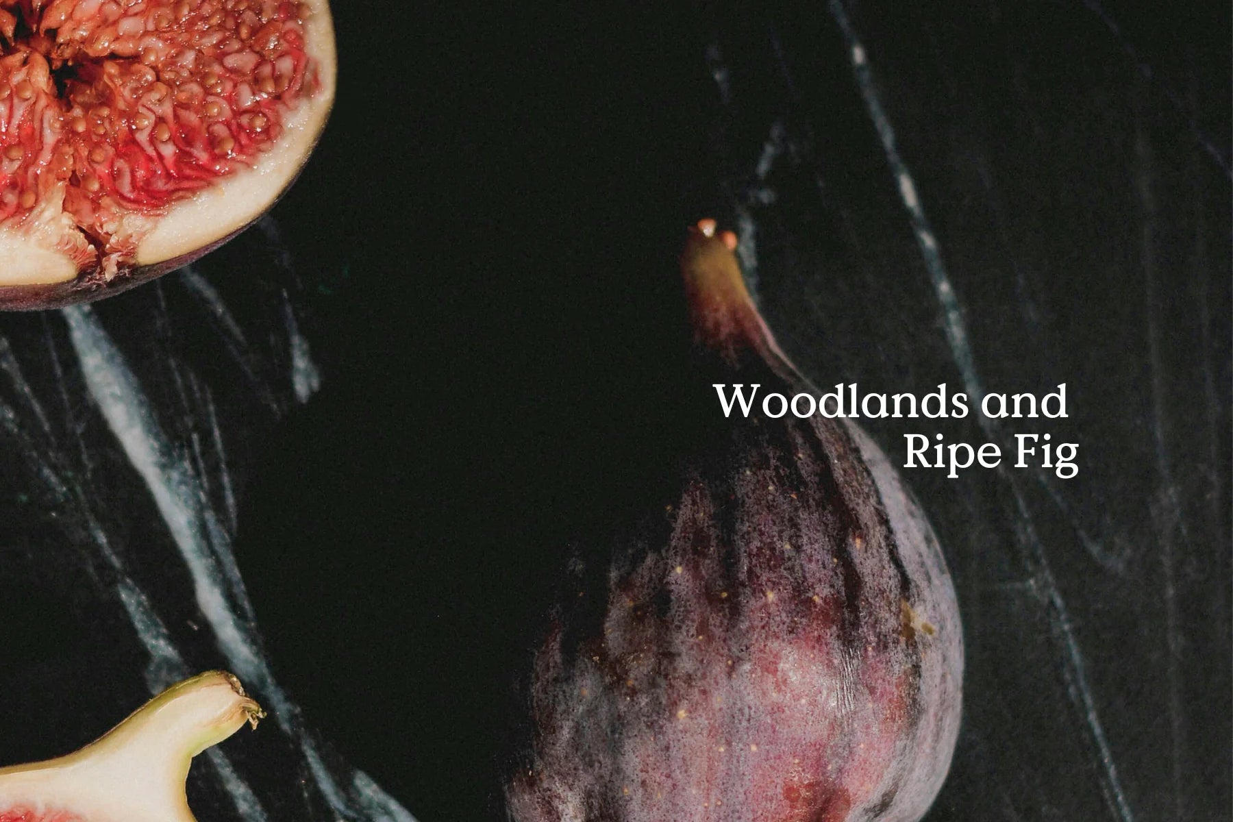 Forage - Folk - Tin of Incense Cones