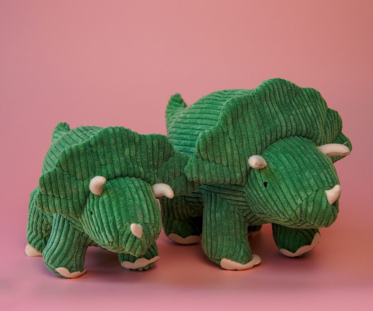 Best Years - Corduroy Triceratops Green