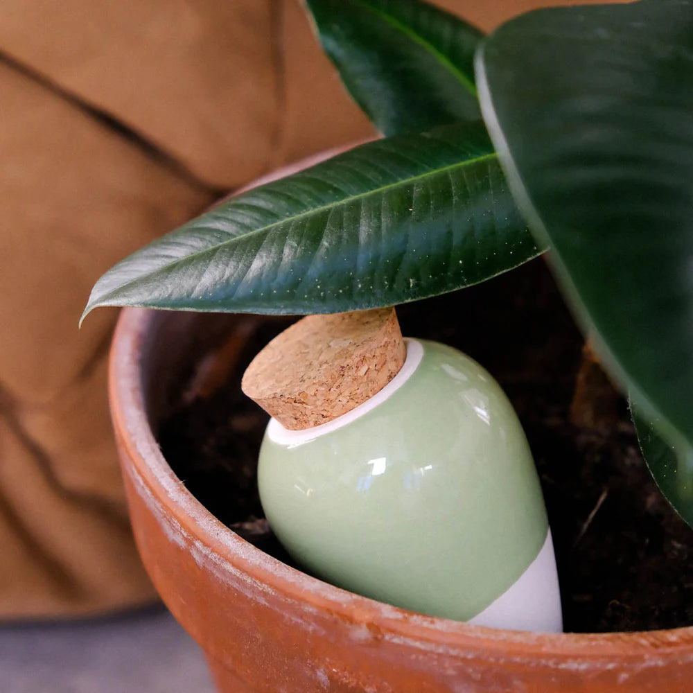 Pepin - Plant Watering Olla - Green