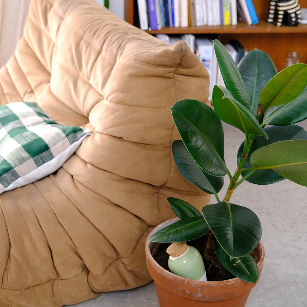 Pepin - Plant Watering Olla - Green