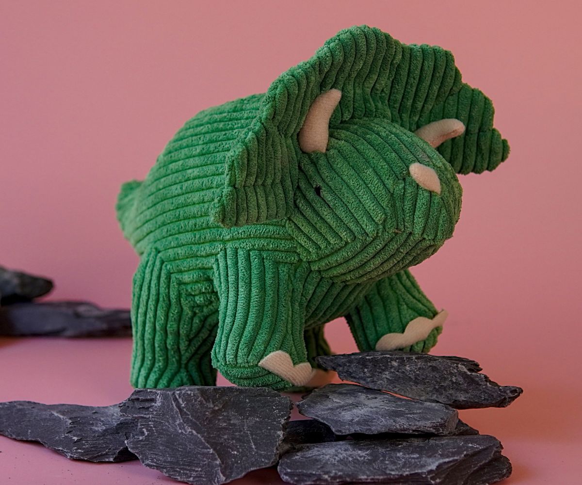Best Years - Corduroy Triceratops Green