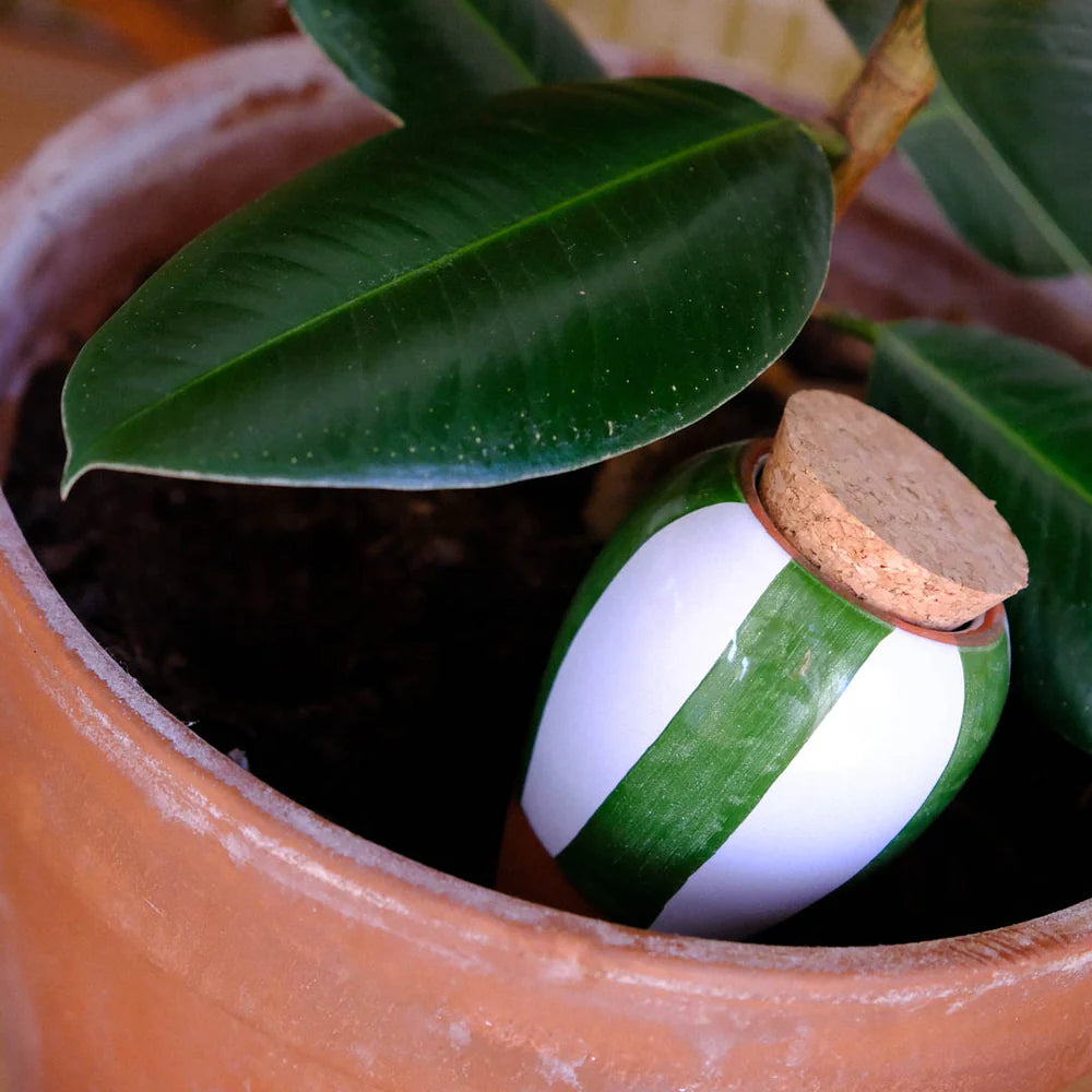 Pepin - Plant Watering Olla - Green Stripe