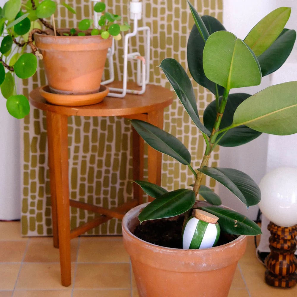 Pepin - Plant Watering Olla - Green Stripe