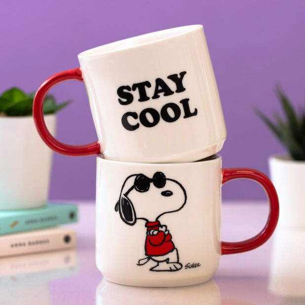 Peanuts Stay Cool Mug