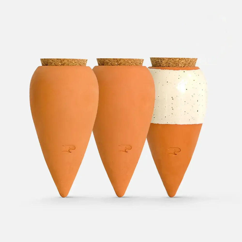 Pepin - Plant Watering Olla - Mini Trio - Iconic