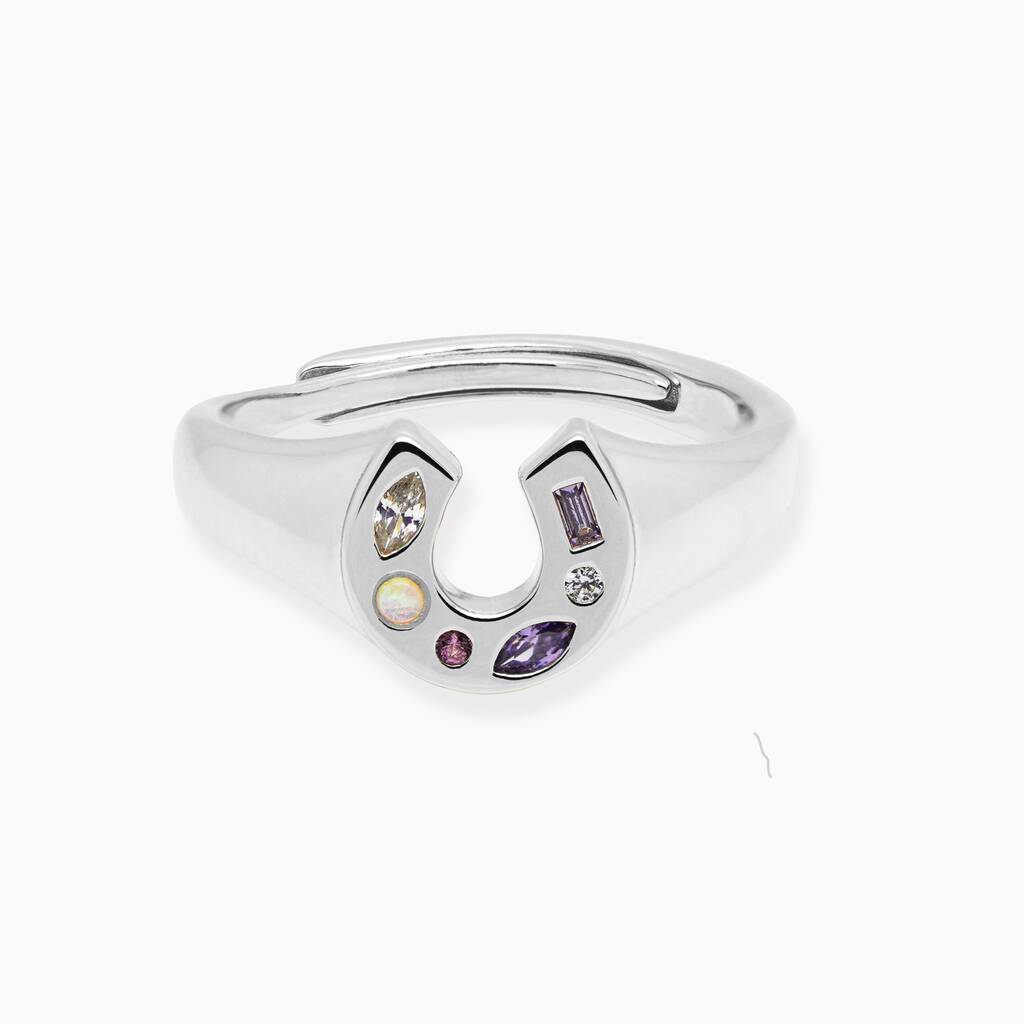 Mini Lucky Charm Adjustable Signet Ring - Silver