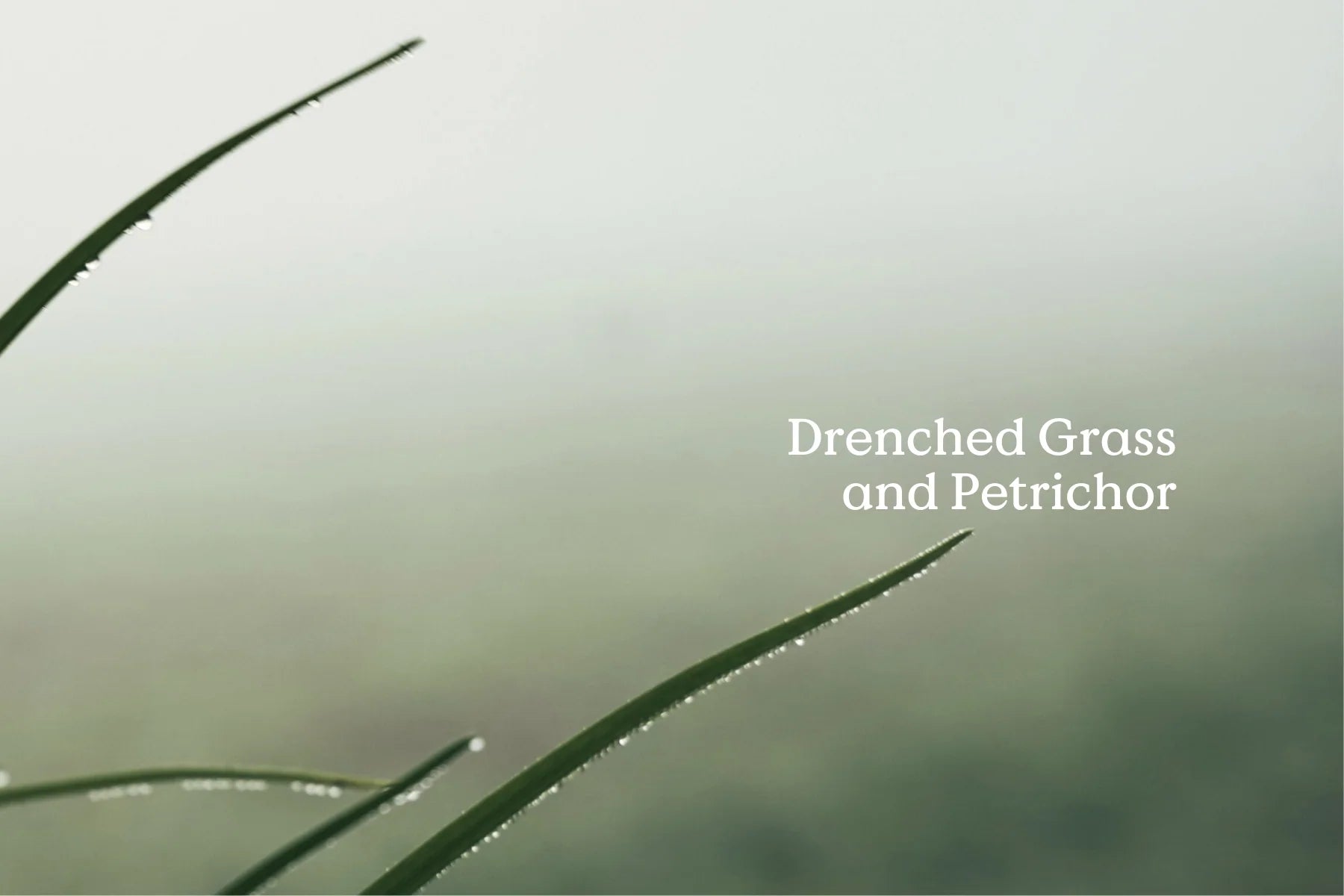 Rain - Folk - Tin of Incense Cones