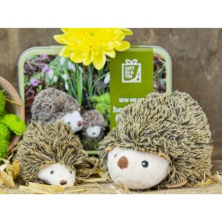 Hedgehog & Hoglet in A Tin - 6+