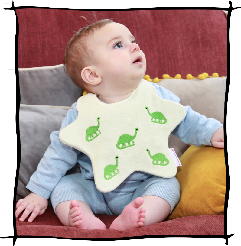 The Dinosaur Bib