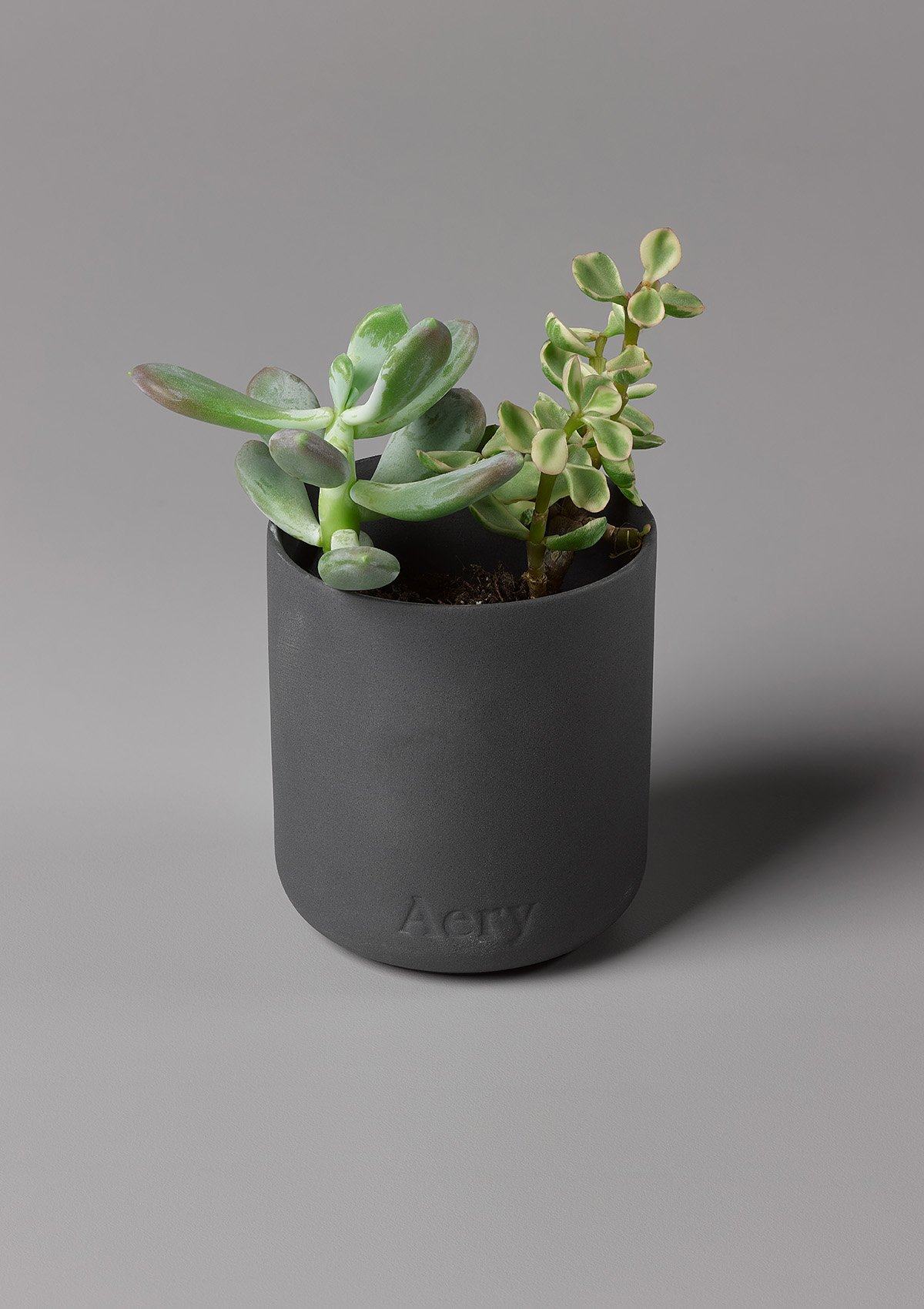 Aery -Indian Sandlewood Scented Candle