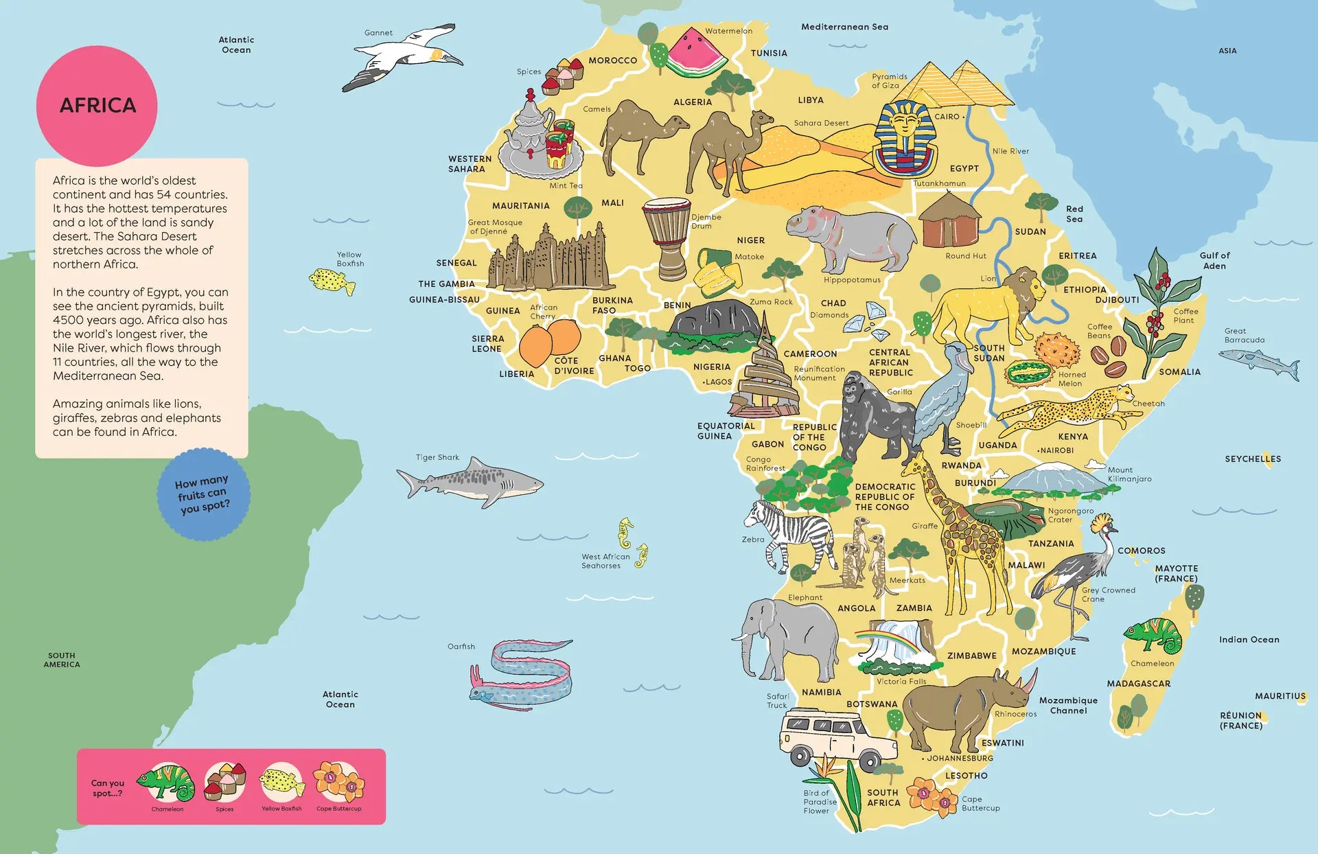 Spot It! World Atlas: A Look and Find Book