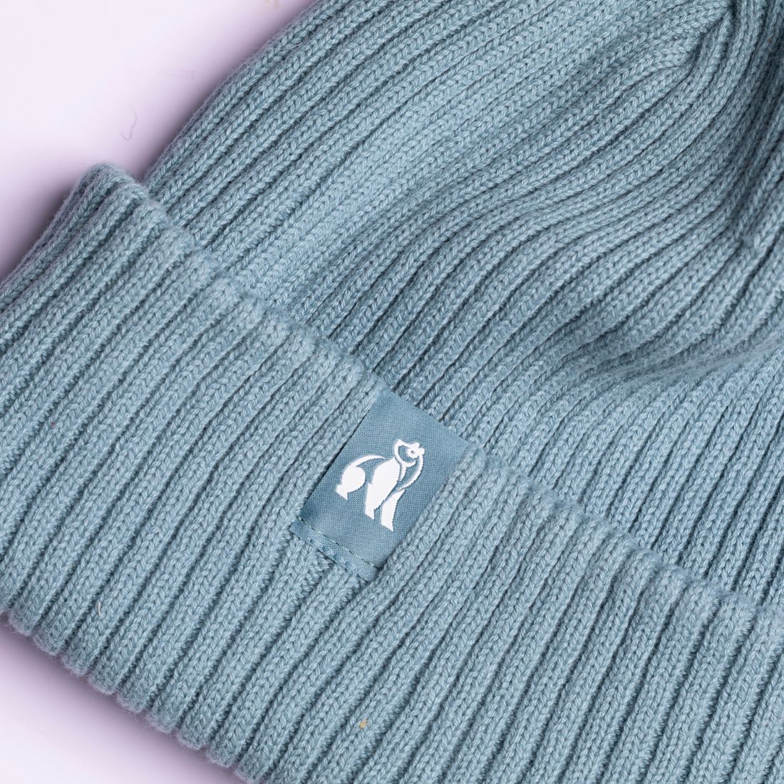 Swole Panda - Organic Cotton Beanie - Turquoise