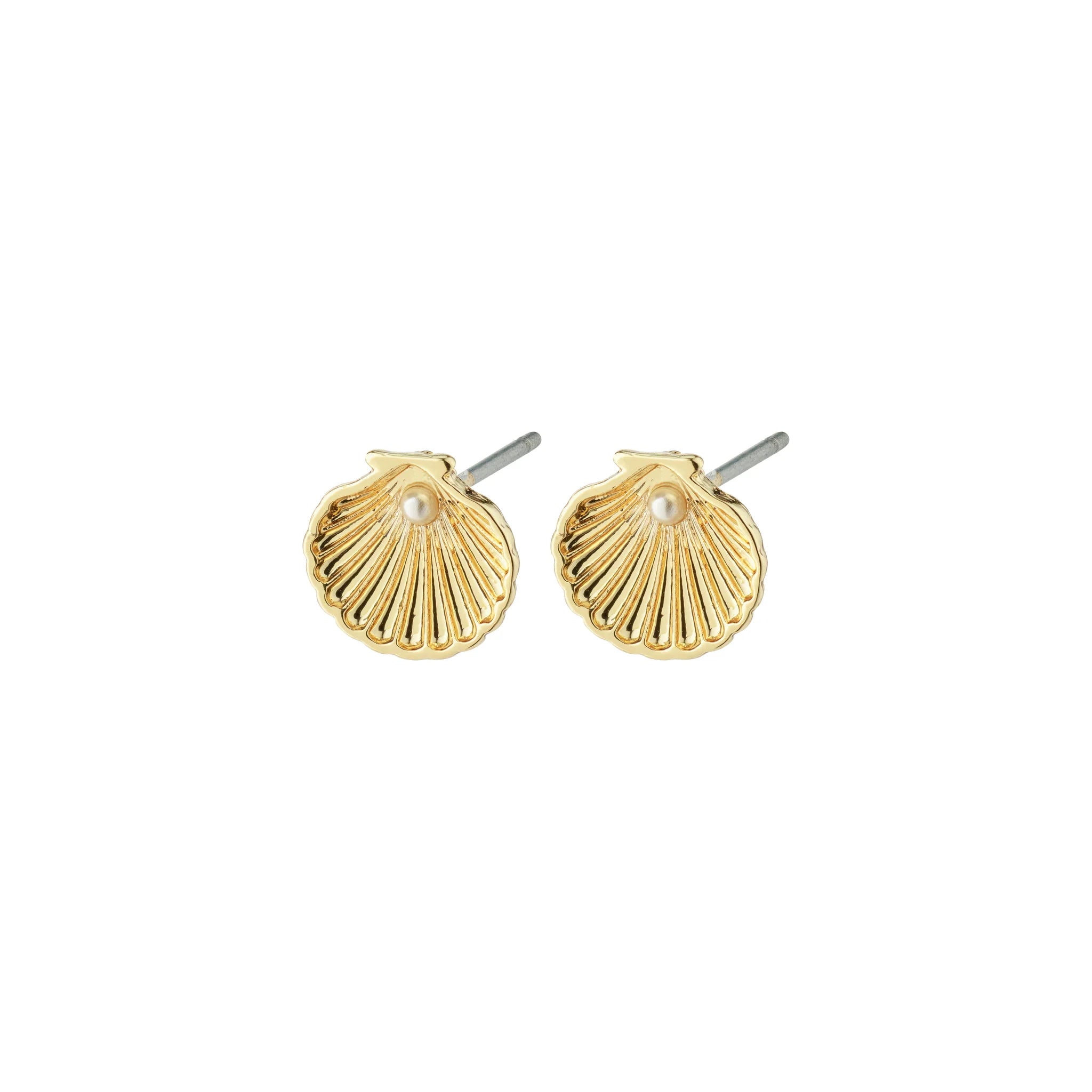OPAL Seashell earrings gold-plated