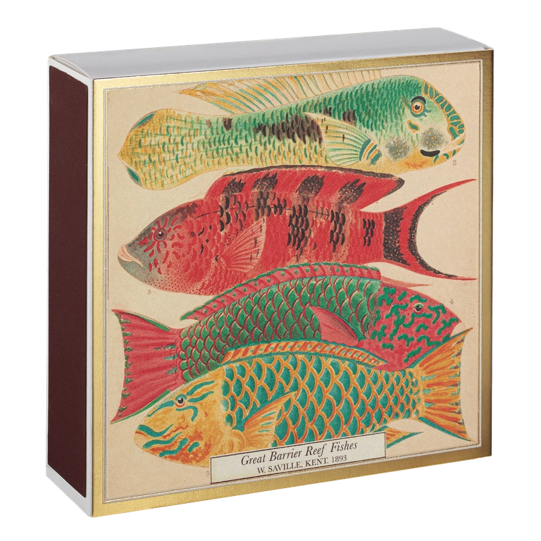 Archivist - Match Box - Fishes