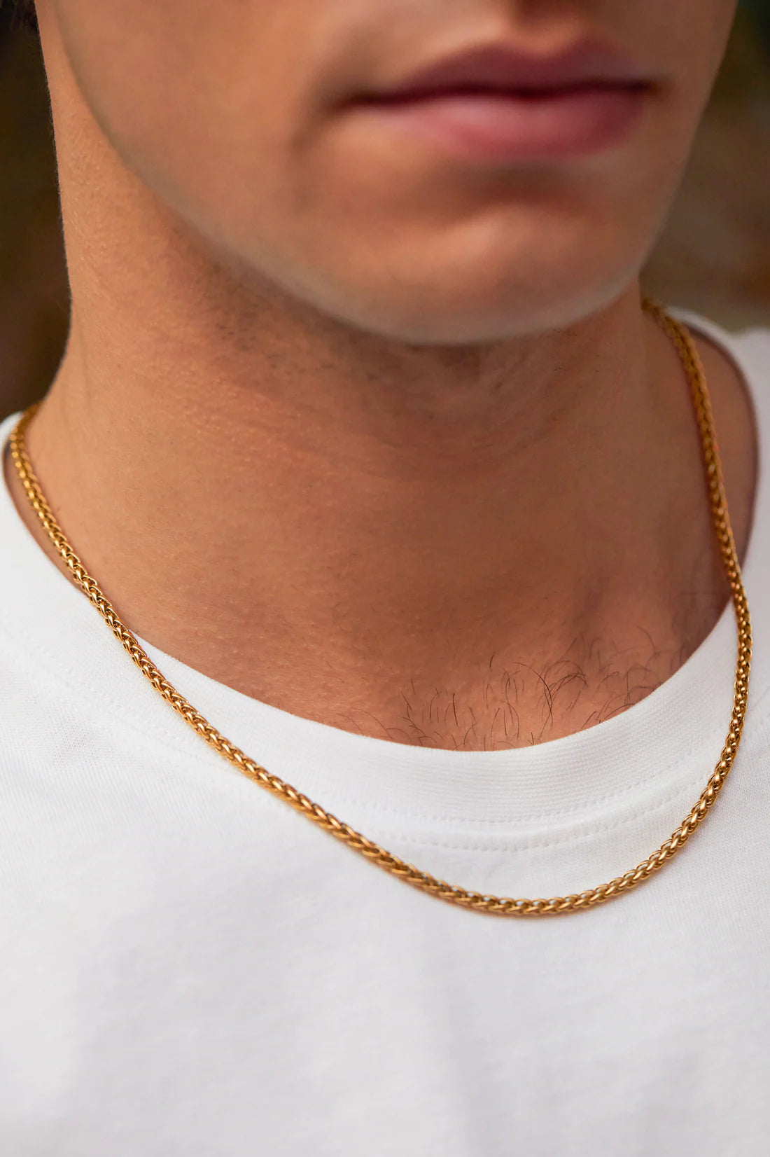Spiga Chain Necklace- Gold