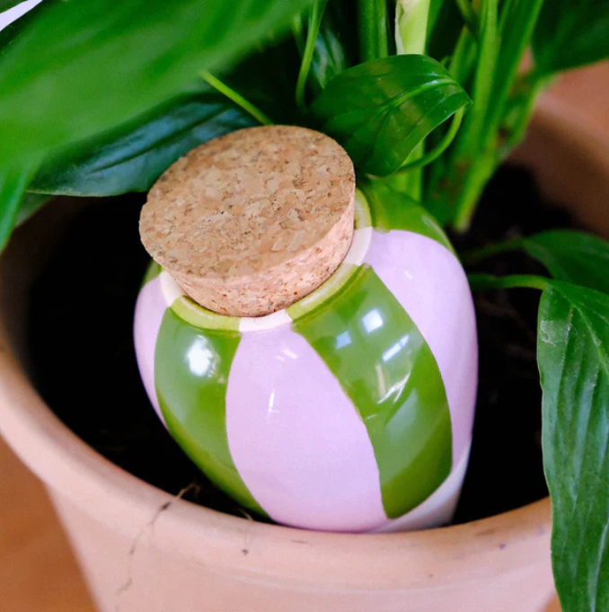 Pepin - Plant Watering Olla - Green & Lilac Stripe