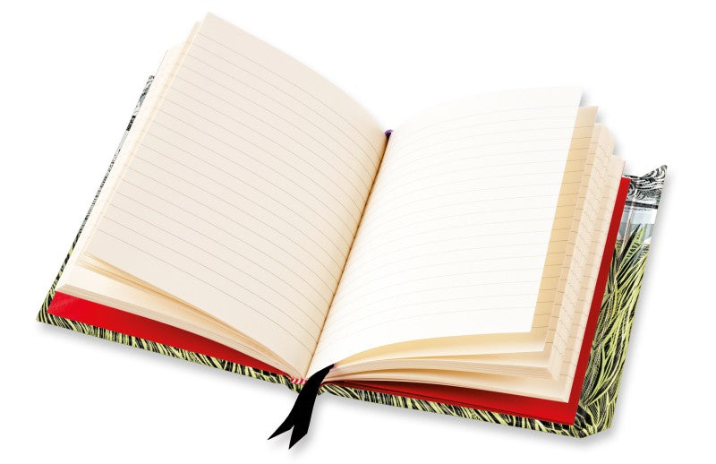 Angela Harding: Young Hare (Foiled Journal)