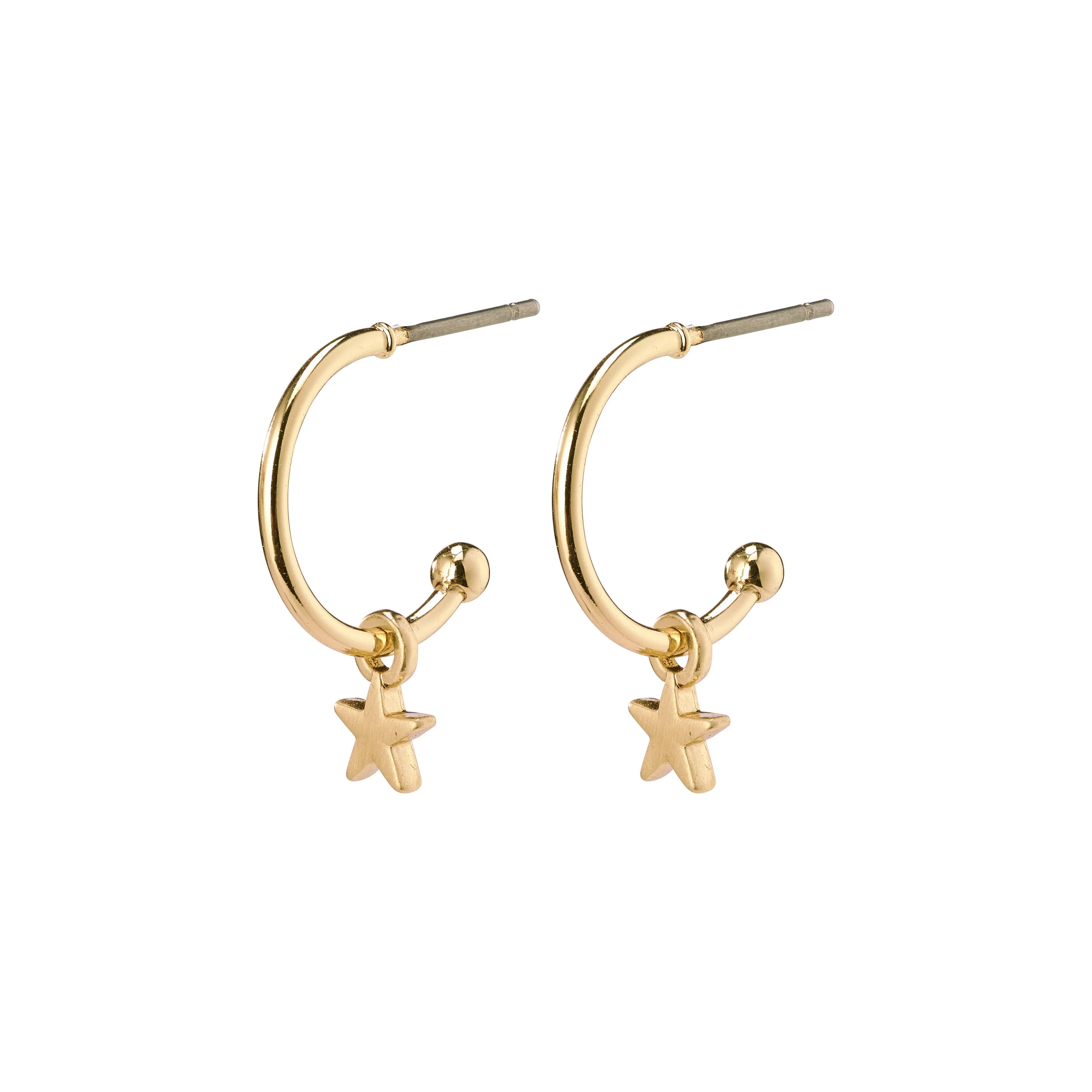 Ava Star Hoop Earrings Gold plated