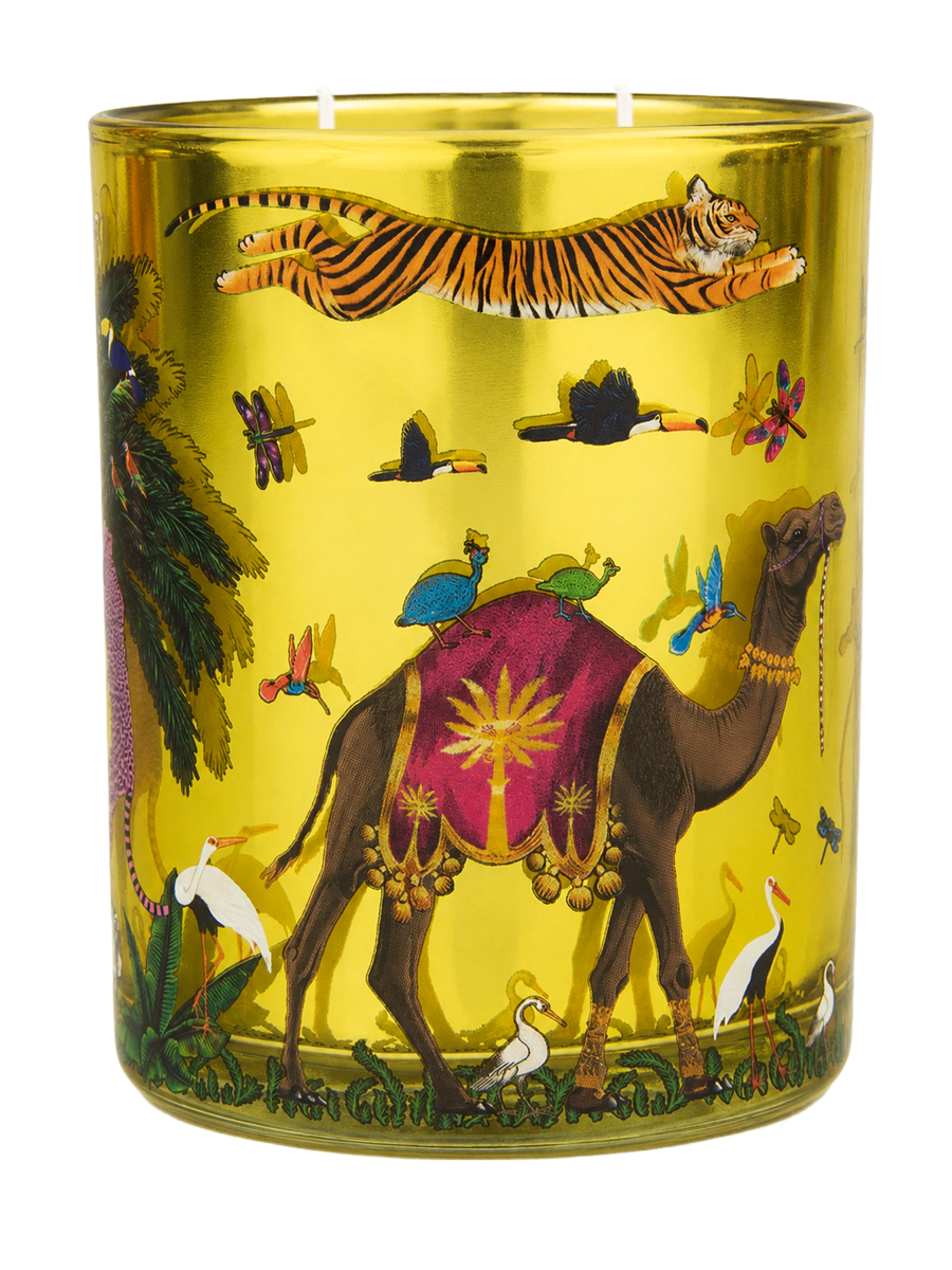 Ortigia - Tiger Candle - Zagara