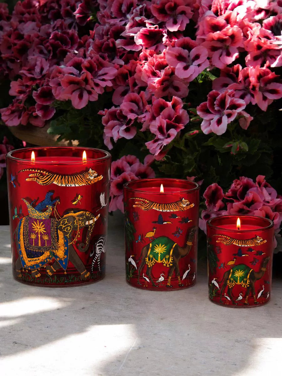 Ortigia - Tiger Candle - Palo Santo