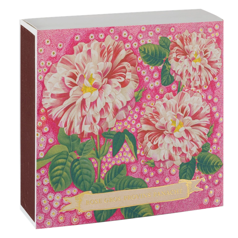 Archivist - Rose Provin Petunia Matches