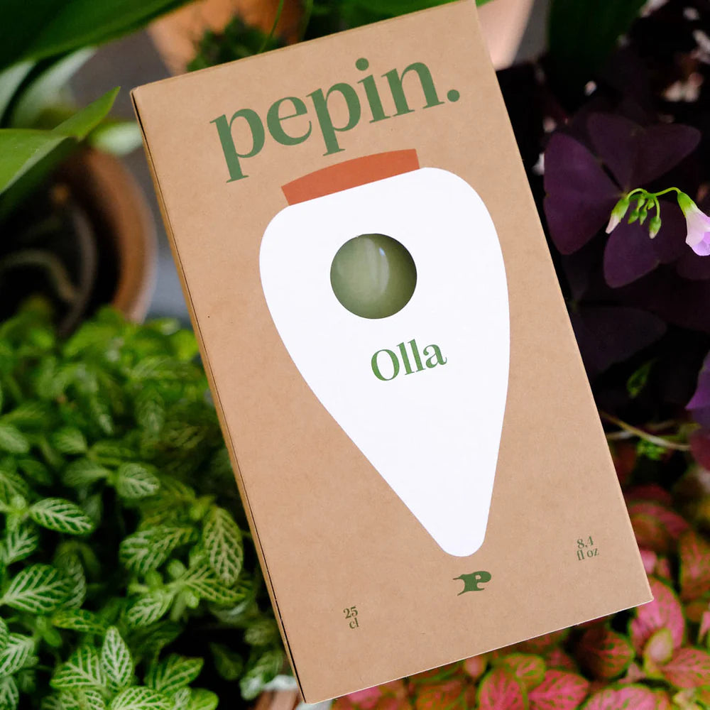 Pepin - Plant Watering Olla - Green