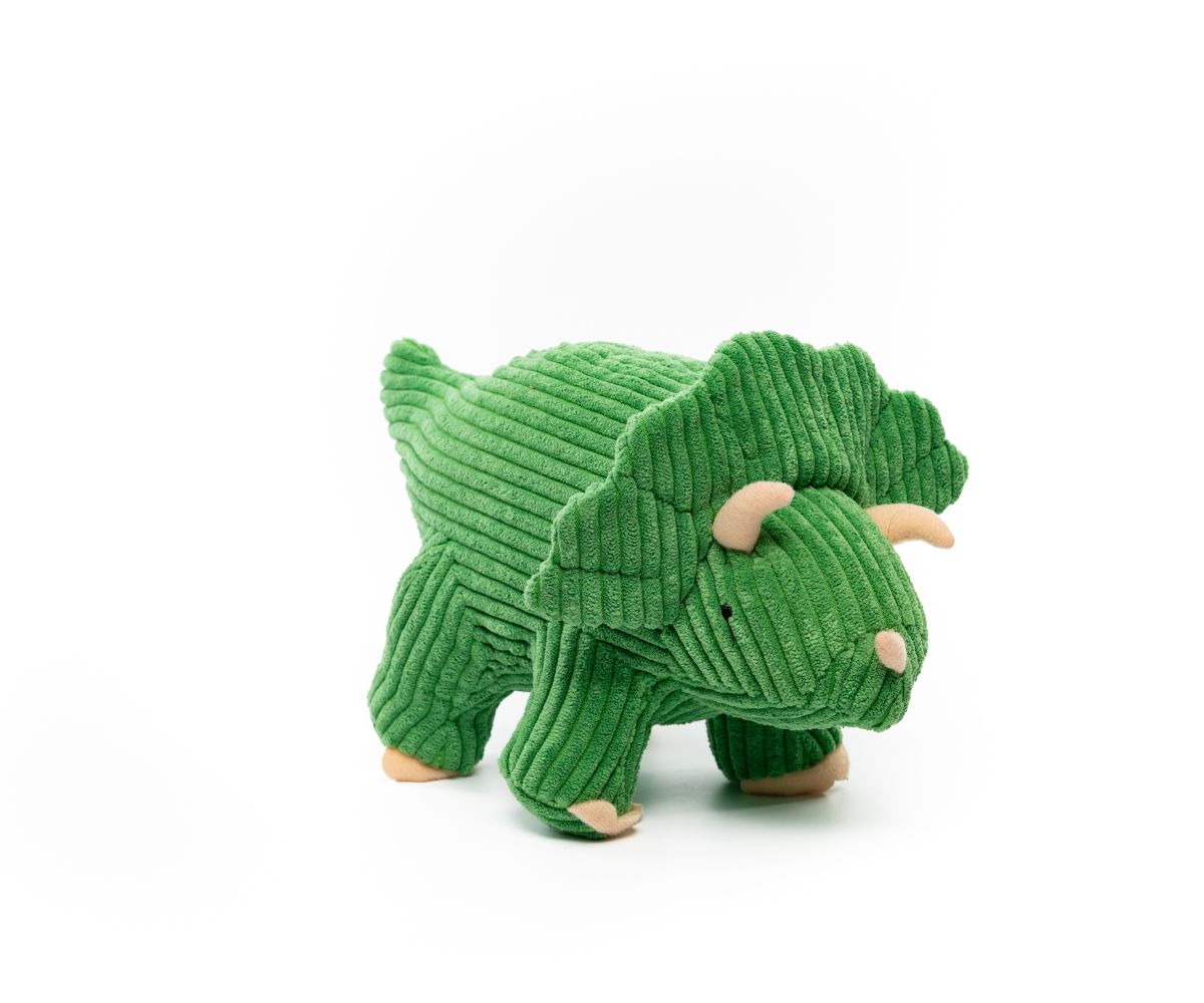 Best Years - Corduroy Triceratops Green