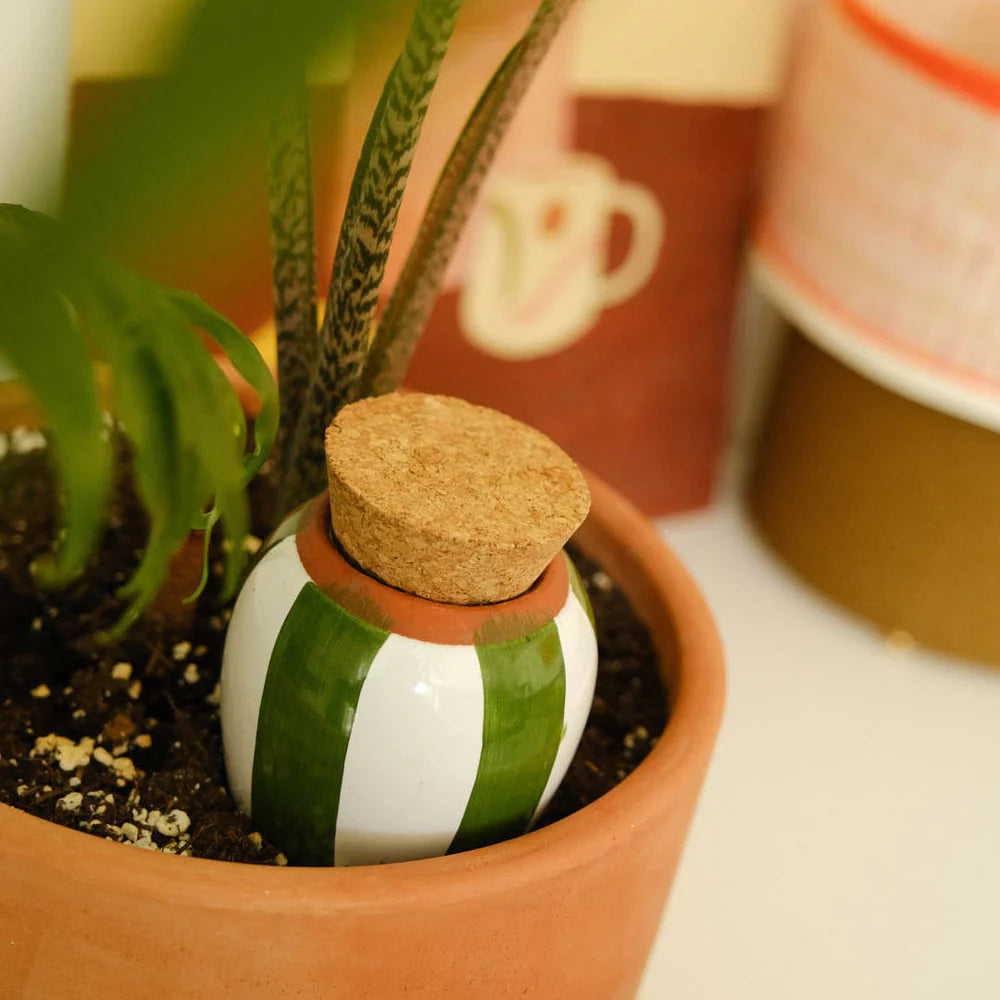 Pepin - Plant Watering Olla - Green Stripe