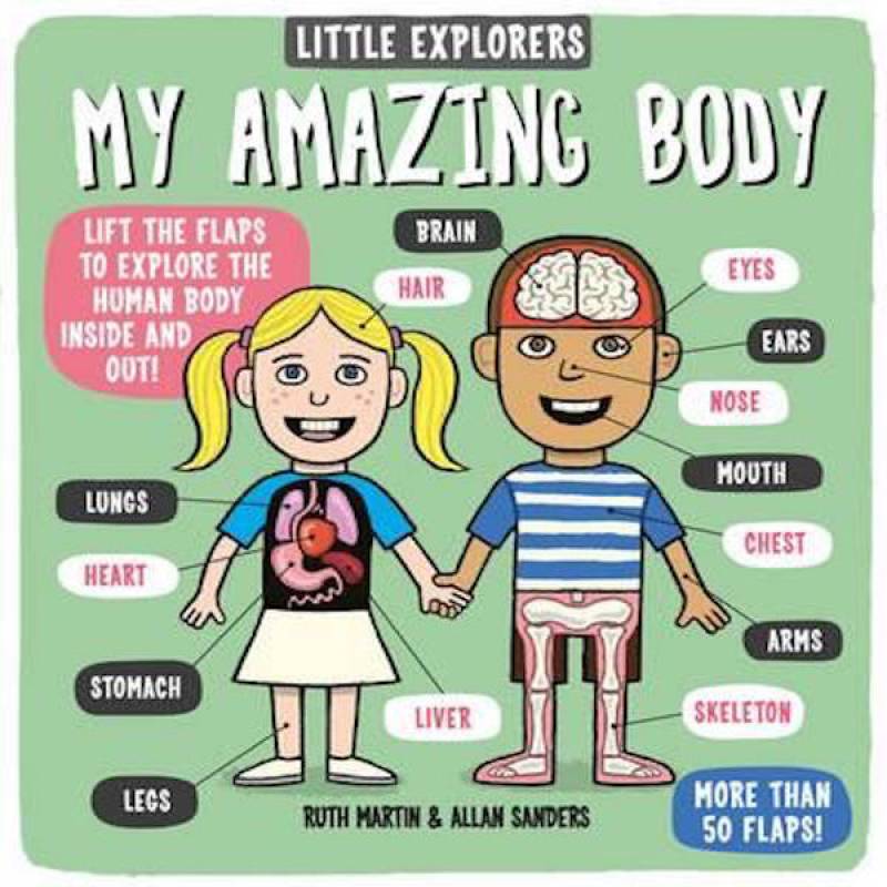 Little Exploers: My Amazing Body (Lift the Flaps) - Book