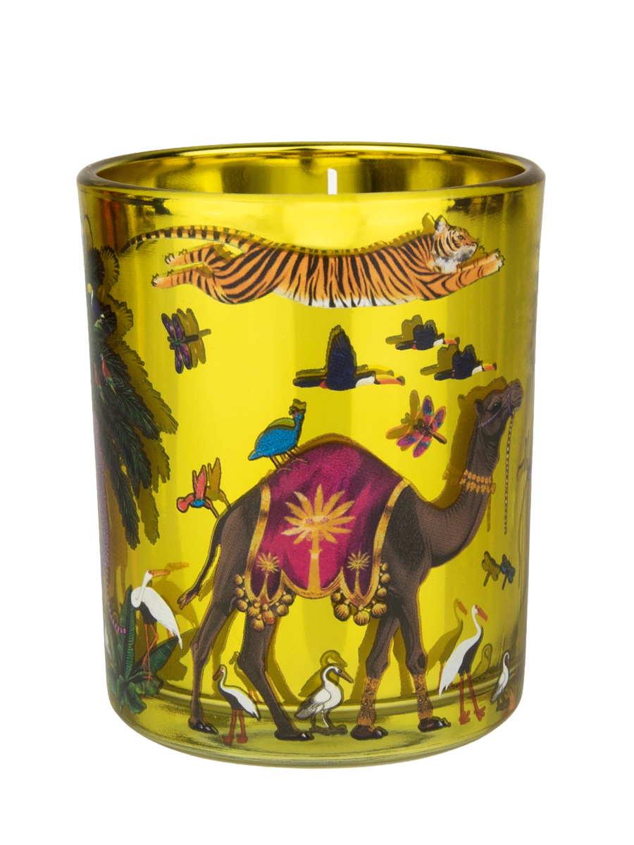 Ortigia - Tiger Candle - Zagara