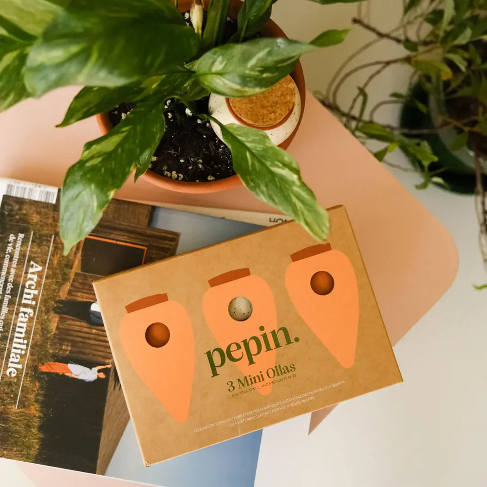Pepin - Plant Watering Olla - Mini Trio - Iconic