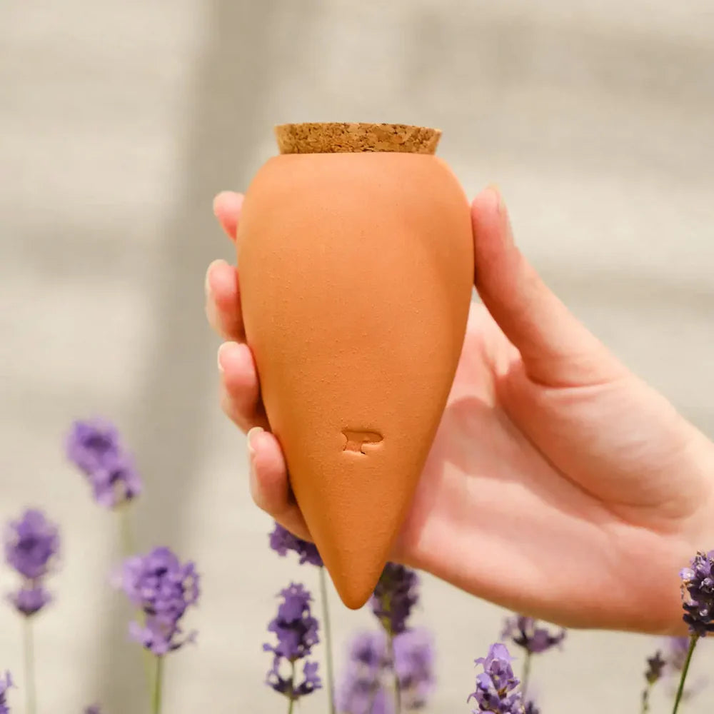 Pepin - Plant Watering Olla - Mini Trio - Iconic
