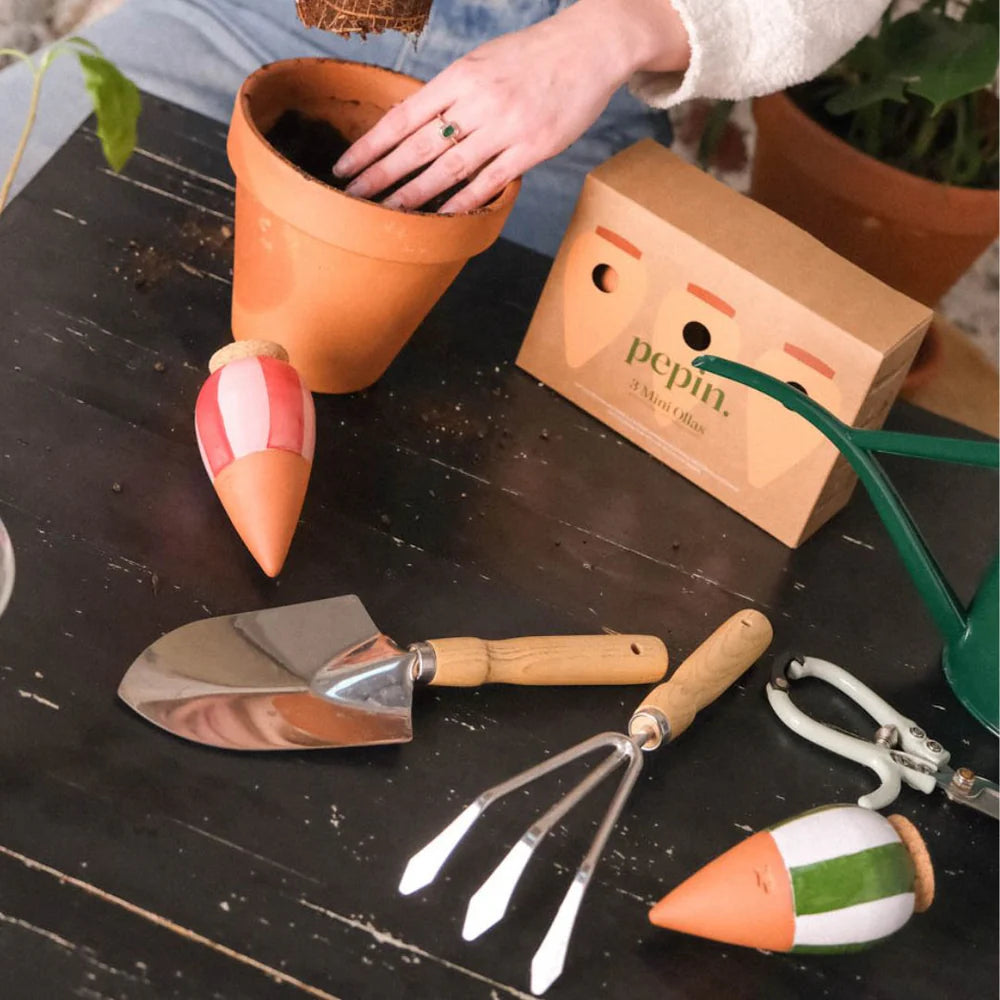 Pepin - Plant Watering Olla - Mini Trio - Stripes