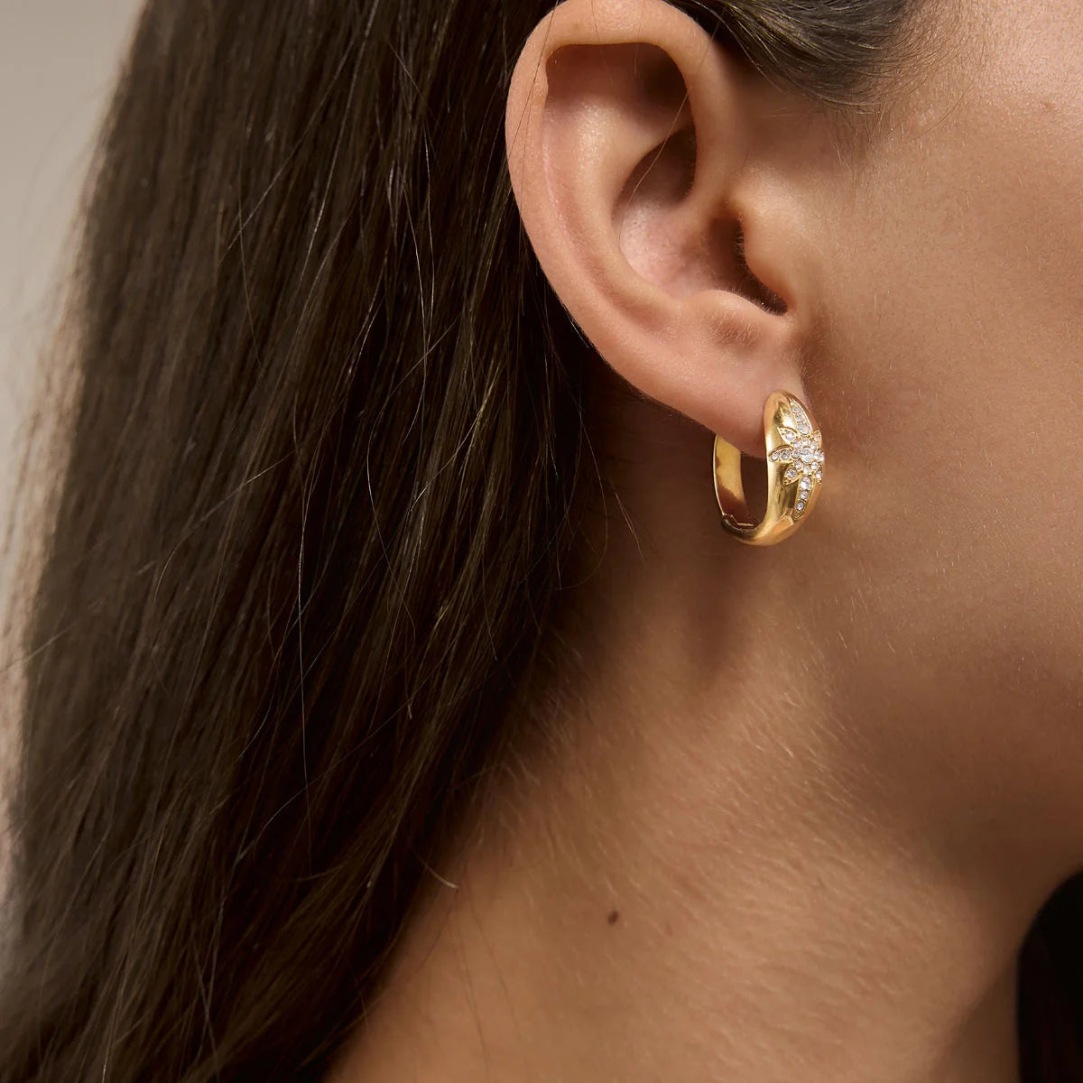 North Star Crystal Inset Hoop Earrings