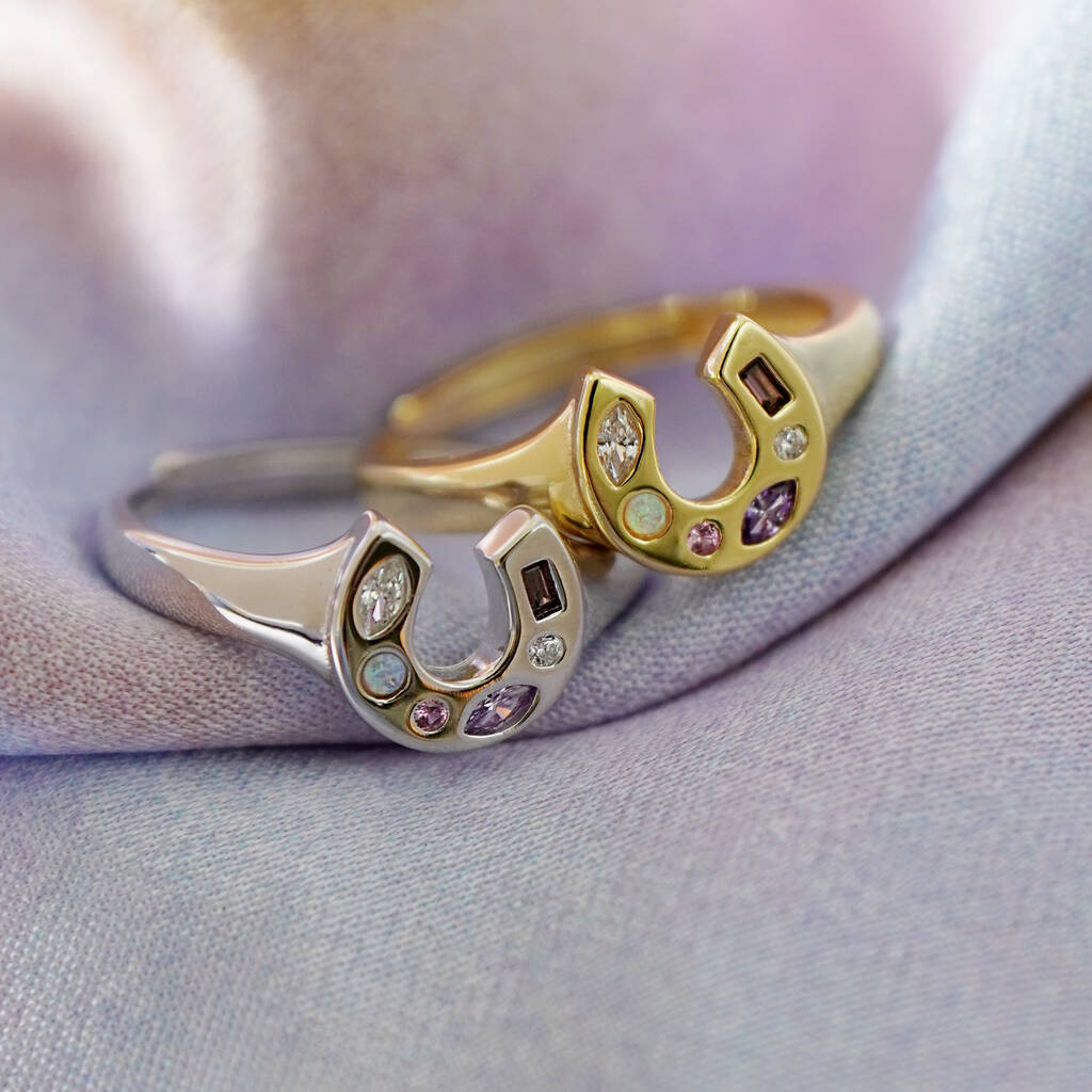 Mini Lucky Charm Adjustable Signet Ring - Silver