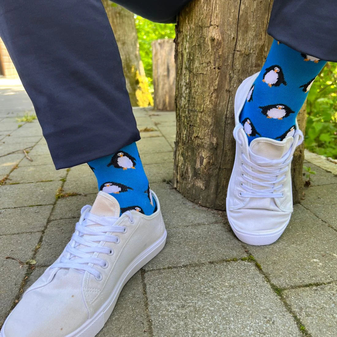 Swole Panda - Penguin Navy Bamboo Socks