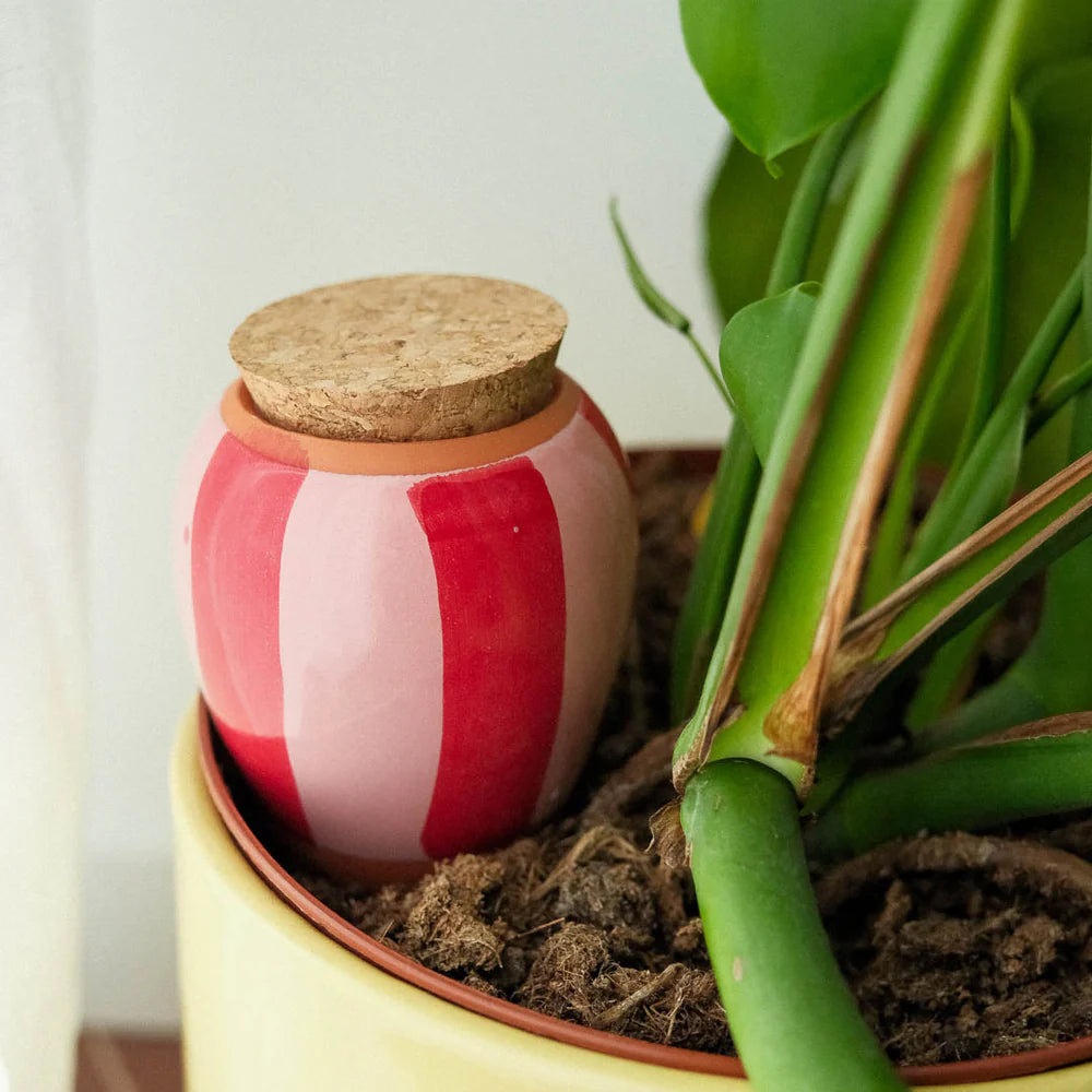 Pepin - Plant Watering Olla - Pink & Red Stripe
