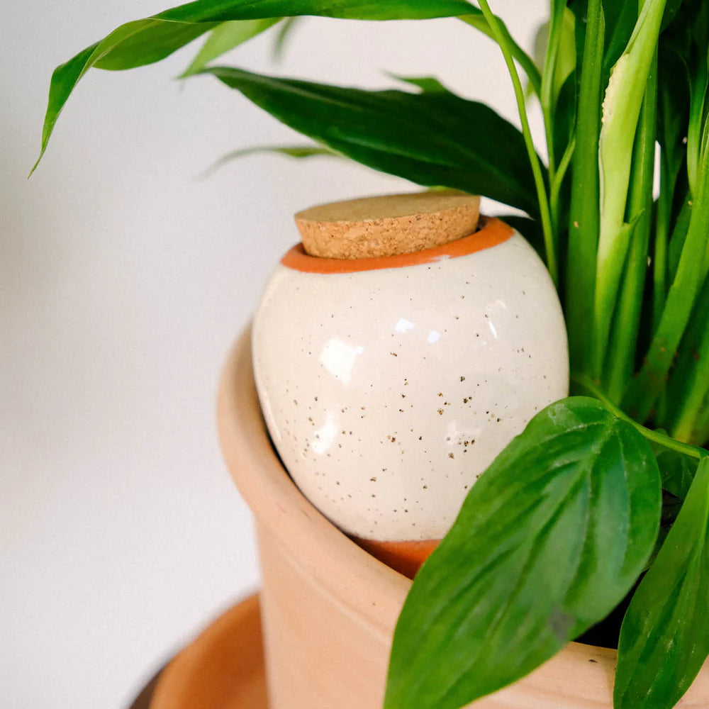 Pepin - Plant Watering Olla - Speckled White