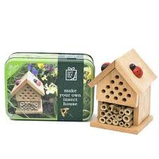 Build Your Own Insect House - Age 6+