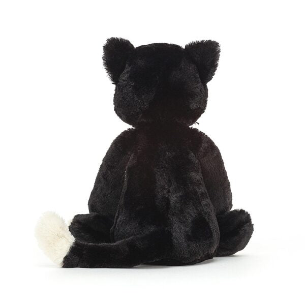 Bashful Black Kitten - M