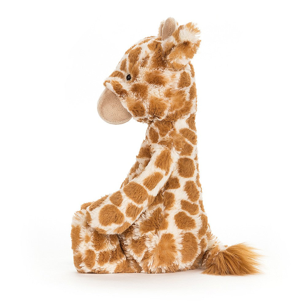Bashful Giraffe - M