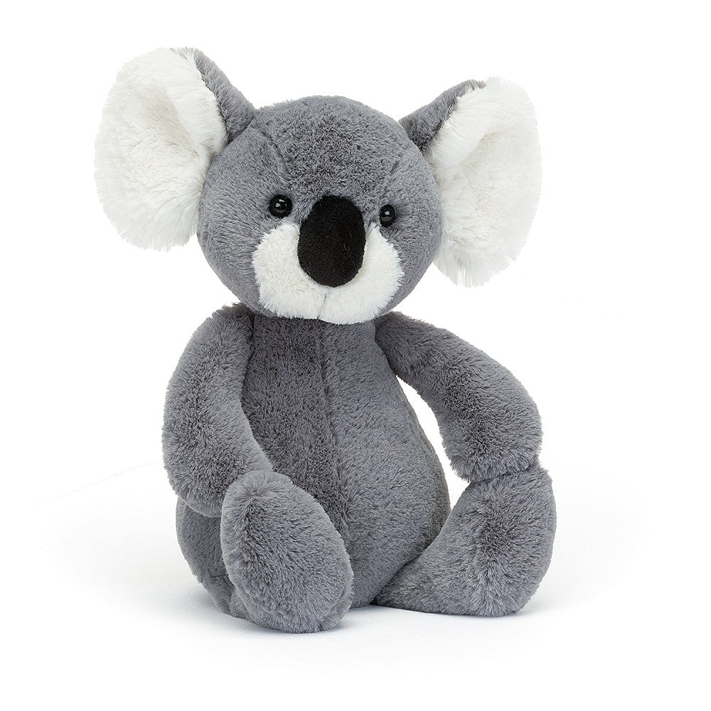 Bashful Koala - M