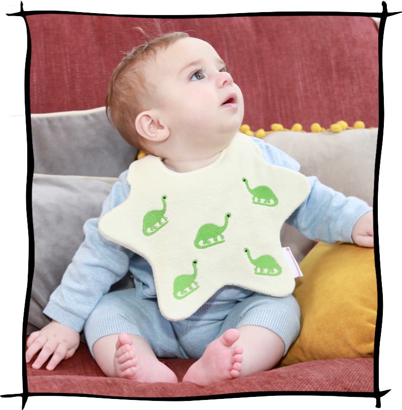The Dinosaur Bib